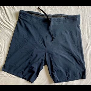 Outerknown Shorts size 34 in Navy Blue